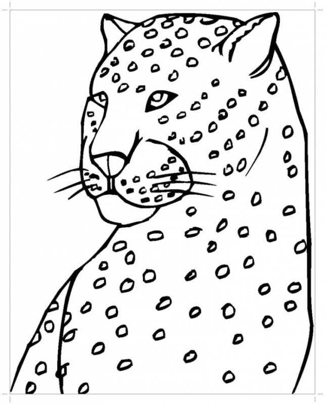 Леопард карандашом