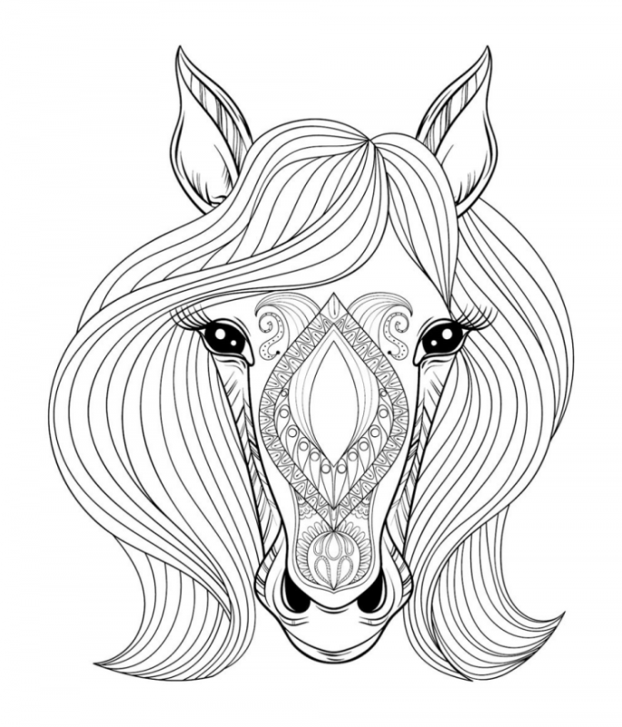 Голова лошади красивая раскраска