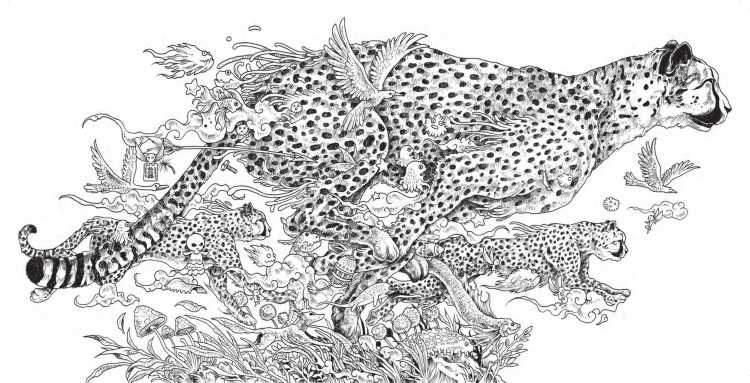 Кошка раскраска реалистичная