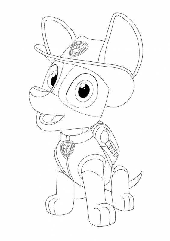 Раскраска Щенячий патруль трекер джунгли
