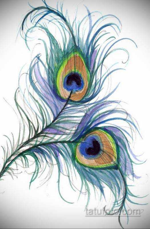 Узор перо павлина