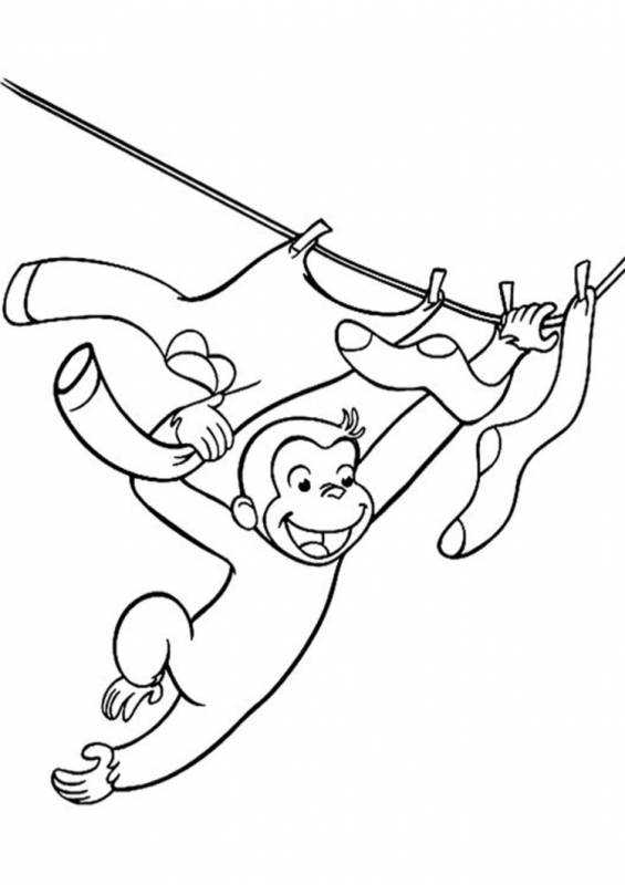Обезьянка раскраска для детей без хвоста