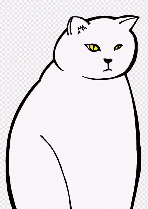 Нарисовать британского кота