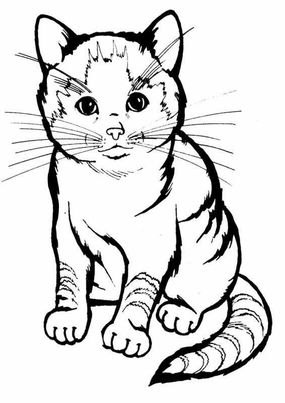 Кошка для выжигания