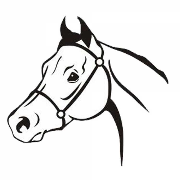 Профиль лошадиной головы рисунок