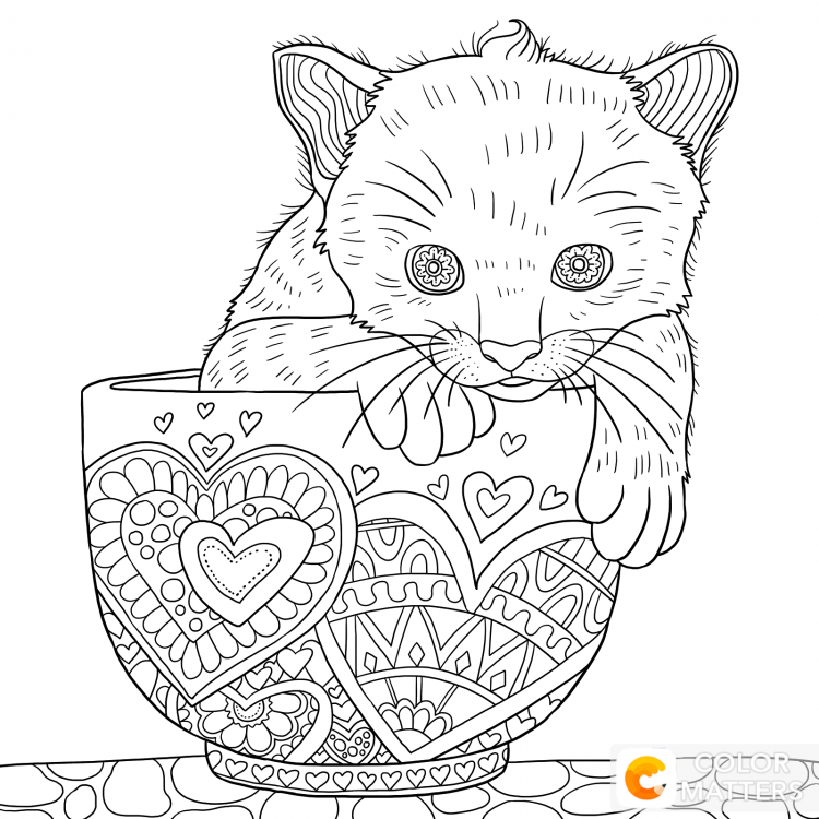 Раскраска новогодний котик