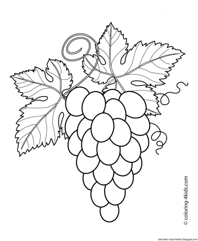 Раскраска "фрукты"