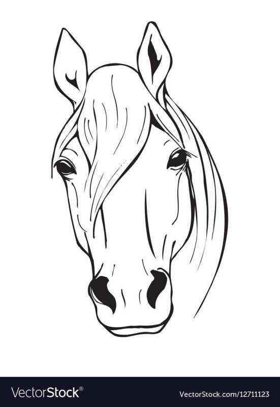 Портрет лошади раскраска