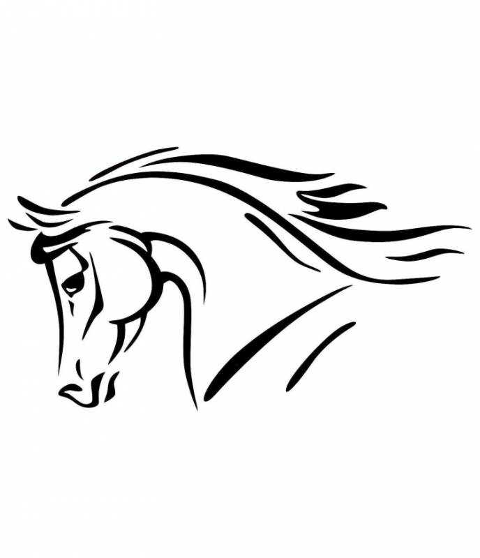 Морда лошади рисунок