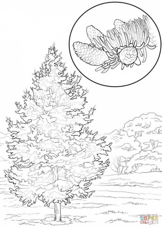 Дерево для разукрашивания