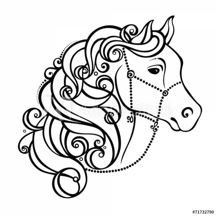 Морда лошади раскраска