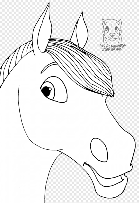 Морда лошади рисунок