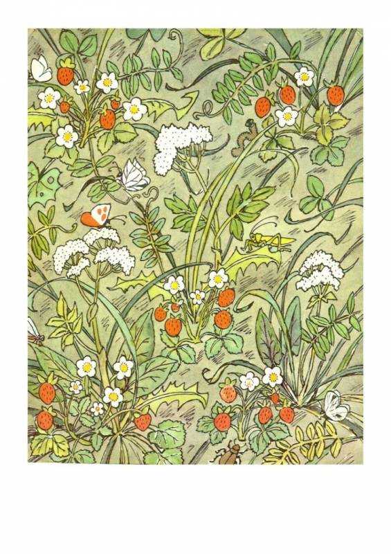 Текст сказки дудочка и кувшинчик