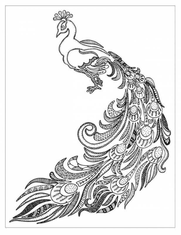 Жар птица антистресс