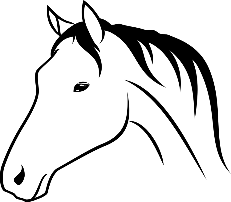 Грива коня стилизованная