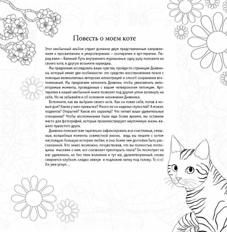 Раскраска для личного дневника девочки