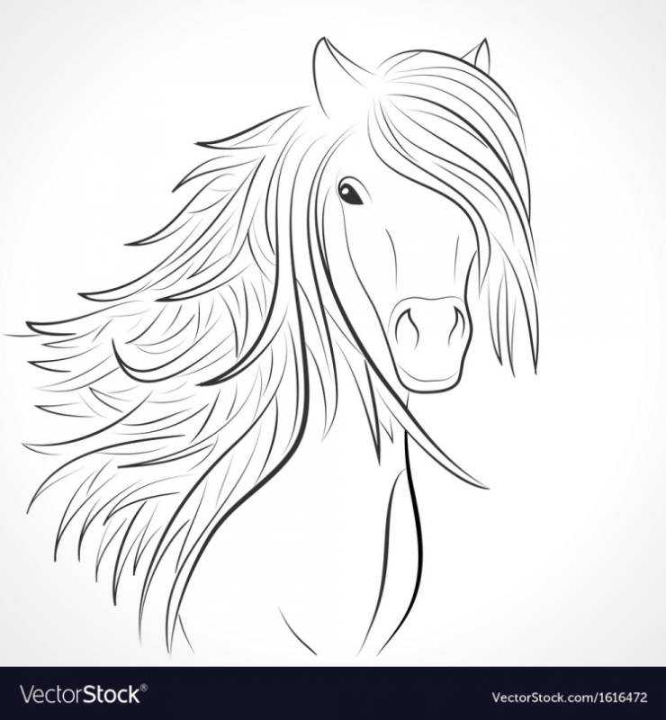 Лошадь раскраска в профиль