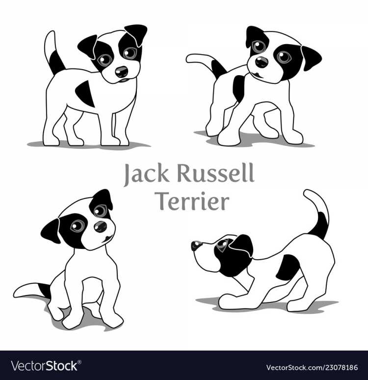 Новогодняя раскраска Джек Рассел