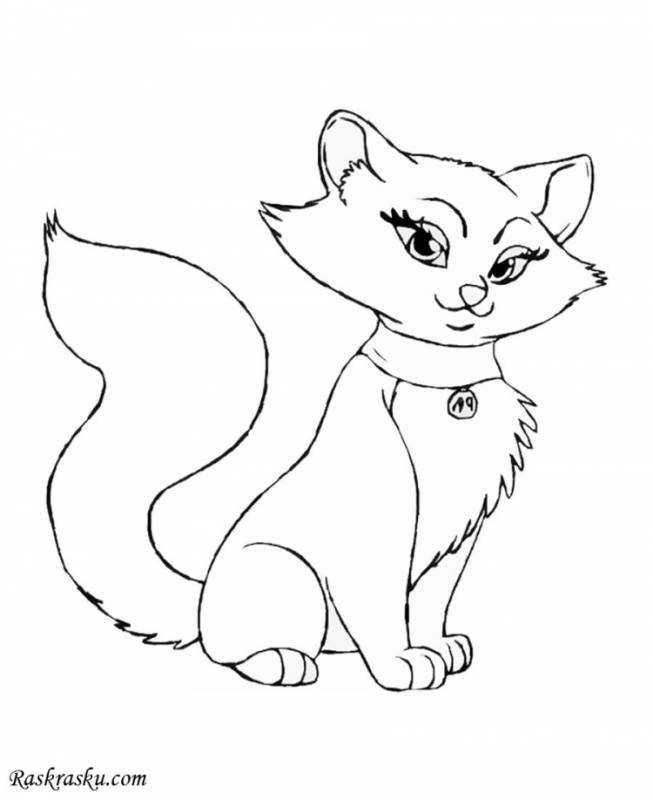 Котенок раскраска для малышей