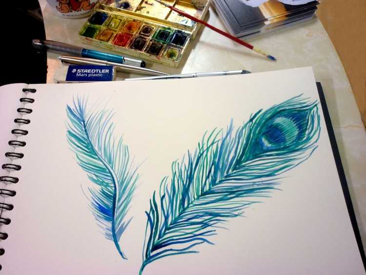 Перо цветными карандашами