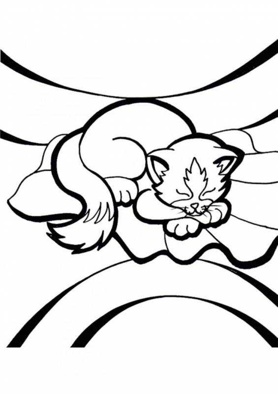 Раскраска кошечка