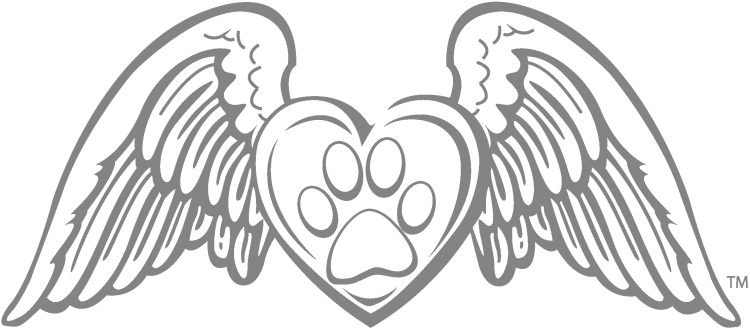 Раскраска сердце с крыльями