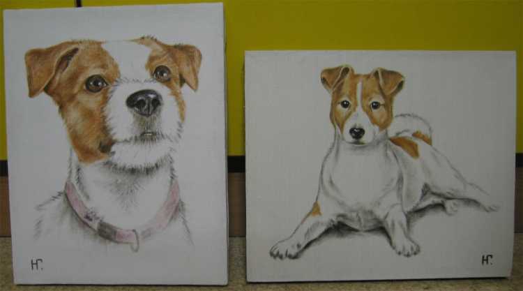 Нарисовать Джек Рассел терьера поэтапно