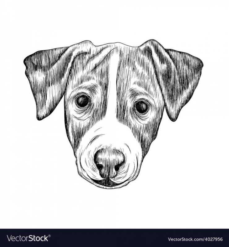 Силуэт собаки Джек Рассел