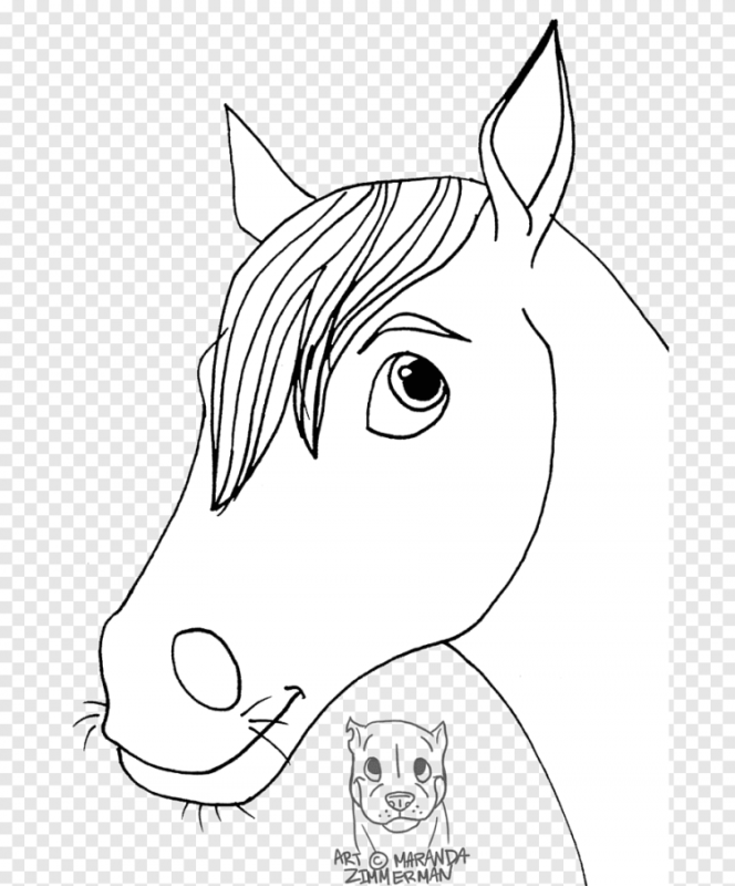 Голова лошади раскраска