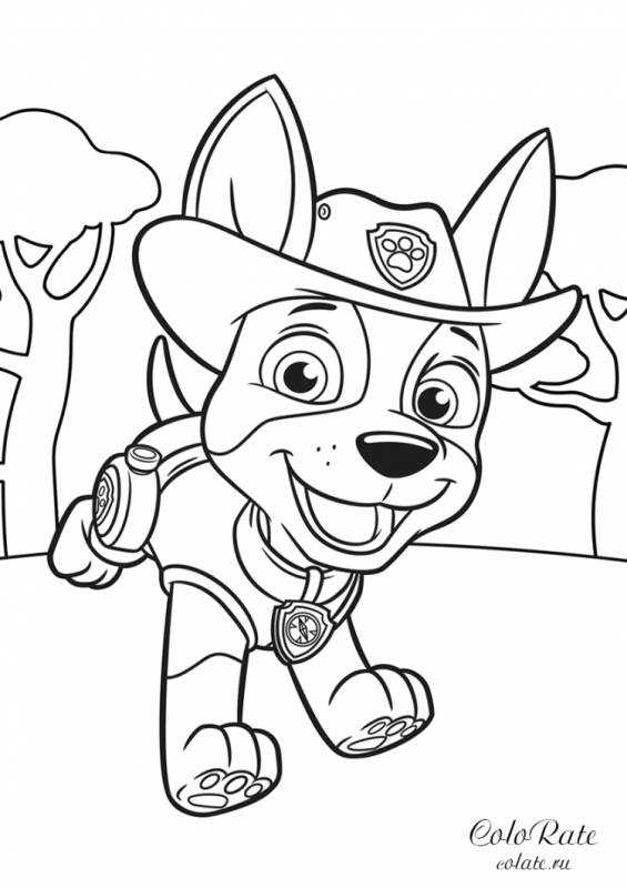 Щенячий патруль розмальовка