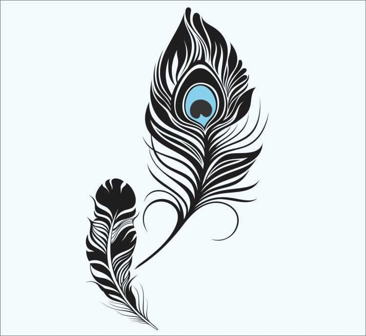 Стилизованное перо павлина
