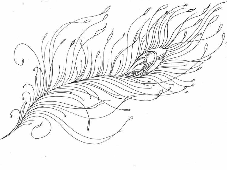 Перо рисунок карандашом для срисовки