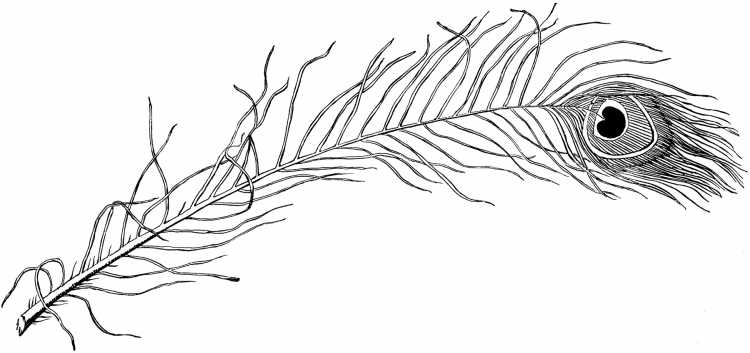 Перо раскраска