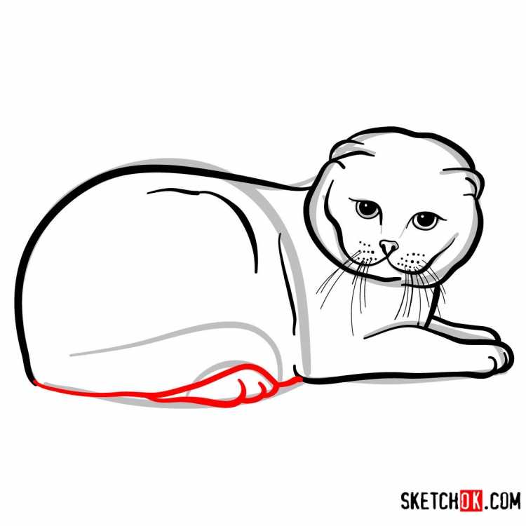 Вислоухая кошка карандашом