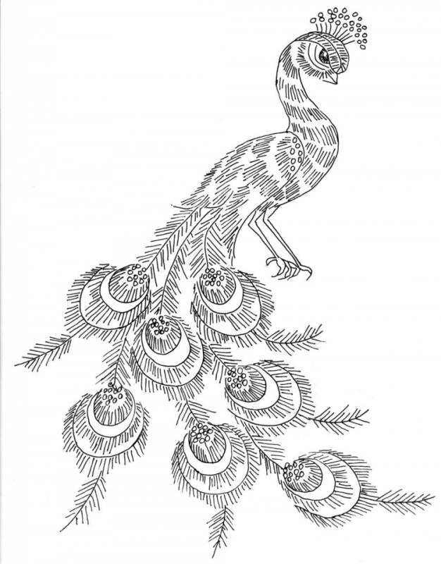 Жар птица раскраска