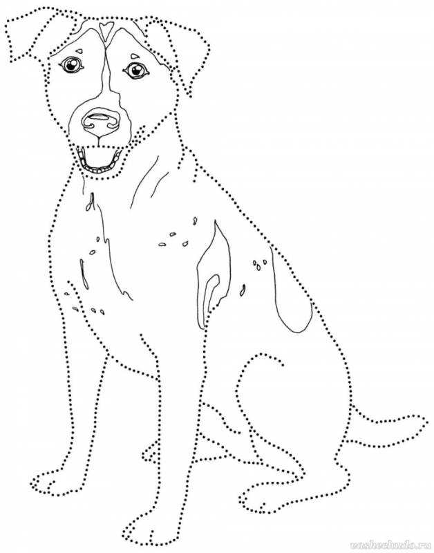 Срисовки Джек Рассел терьер