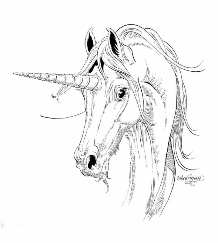 Морда лошади раскраска