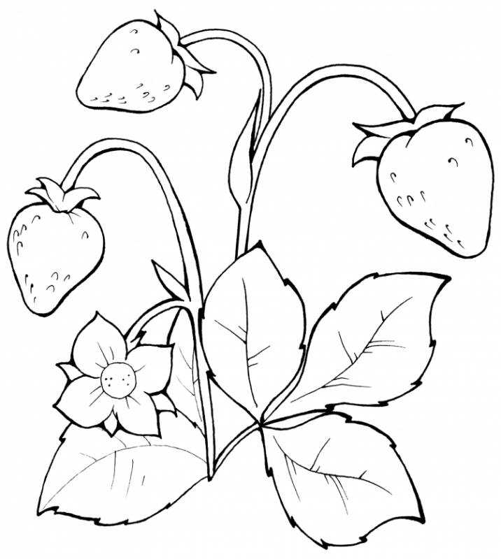 Валентин Катаев дудочка и кувшинчик