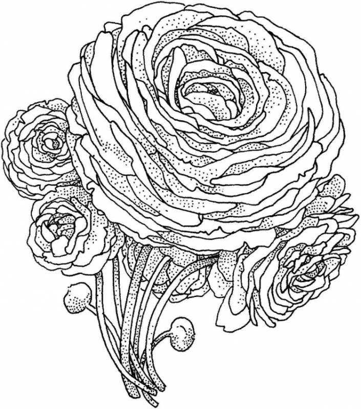 Узоры для раскрашивания