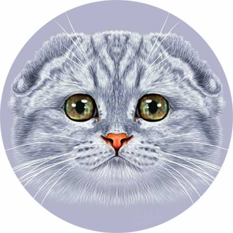 Милые котики простым карандашом