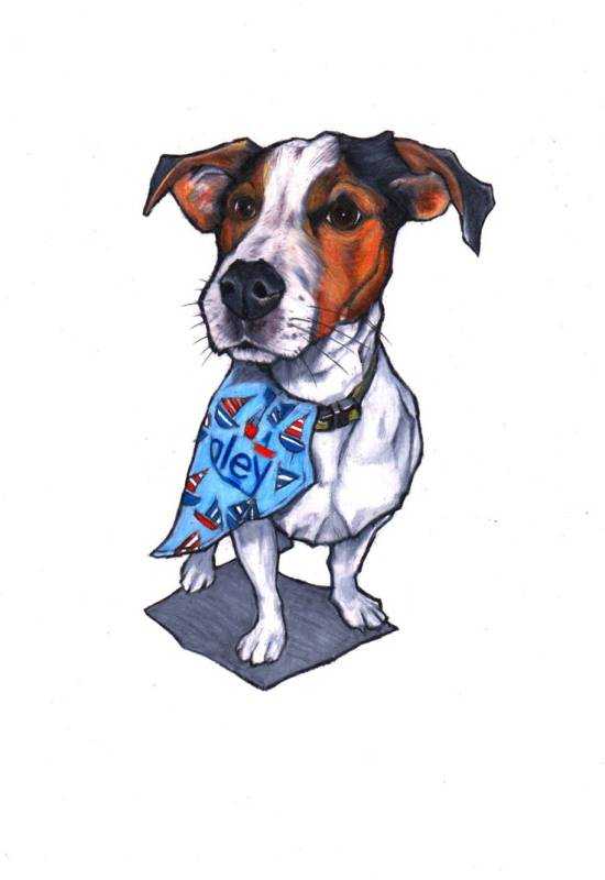 Джек Рассел