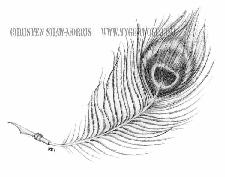 Тату перо павлина эскиз
