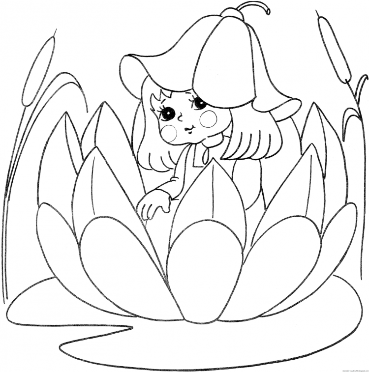 Дюймовочка и жаба раскраска