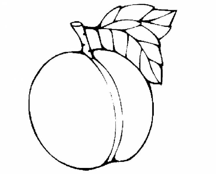 Натюрморт с фруктами раскраска