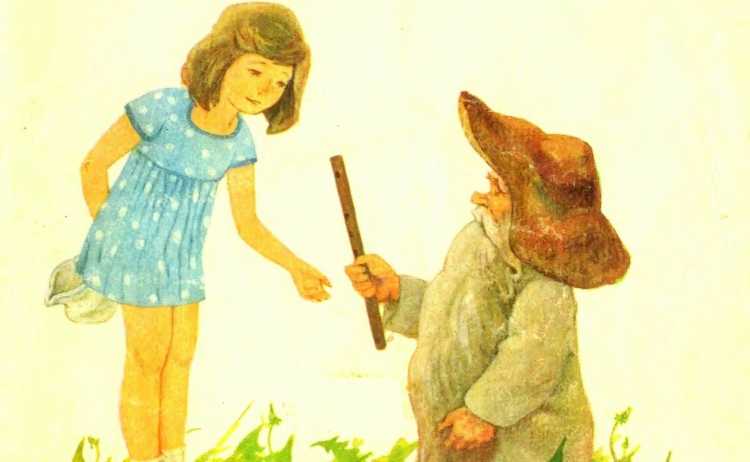 Дудочка и кувшинчик гриб