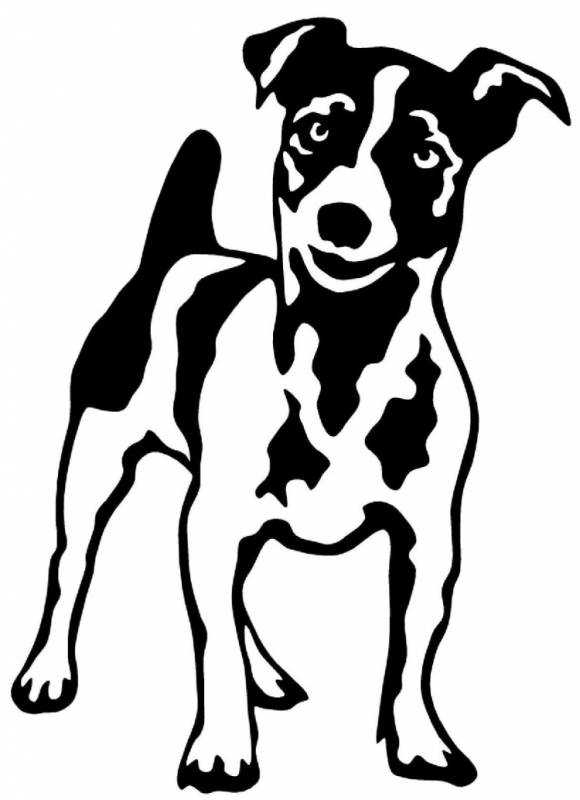 Парсон-Рассел-терьер рисунок