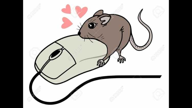 Предметы для срисовки карандашом