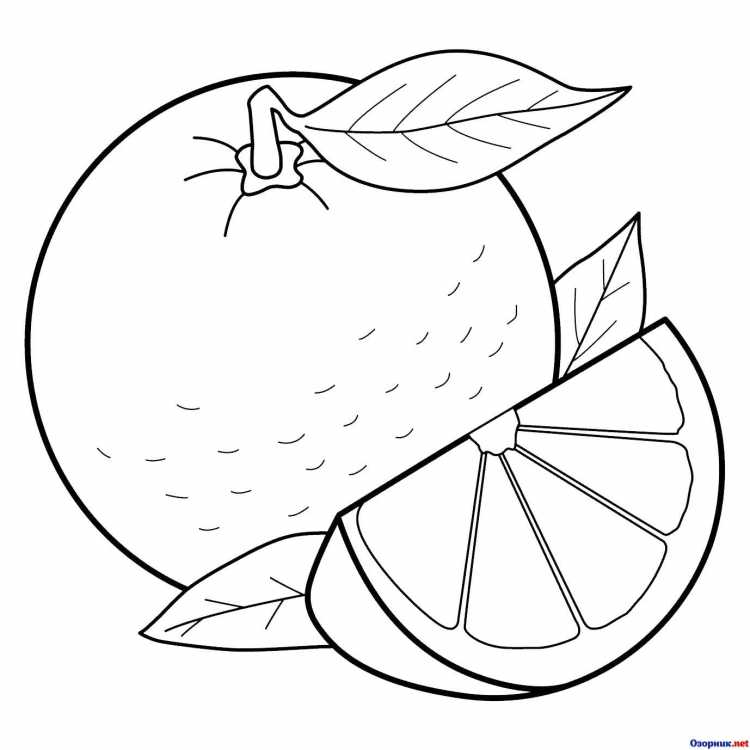 Раскраска фрукты для детей 6-7 лет