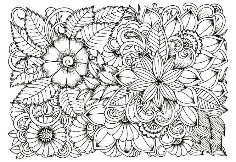 Раскраски Антресс цветы