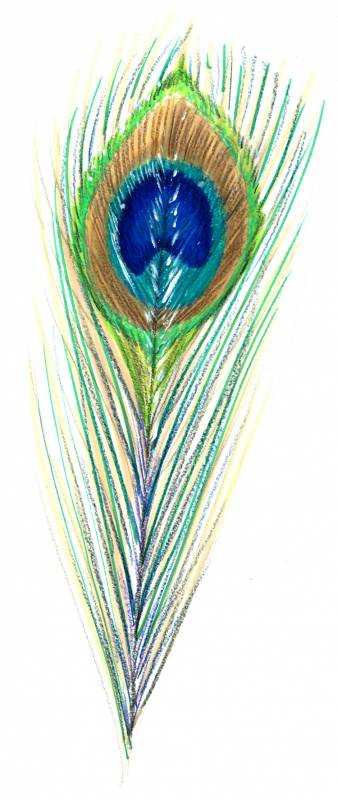 Перо Жар птицы для детей